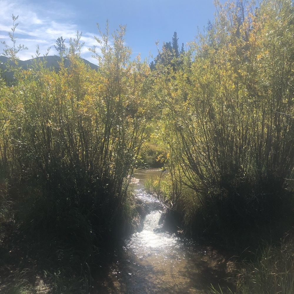 Meet your Posher, Sharon